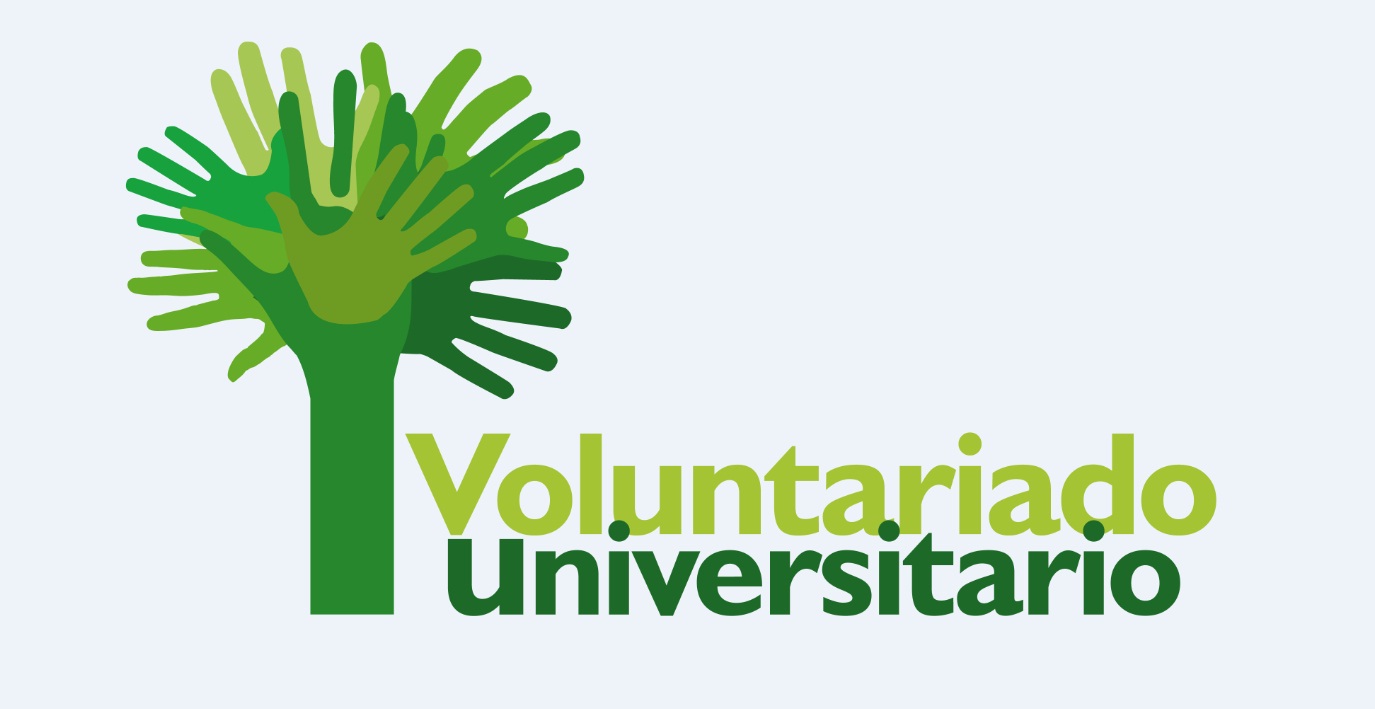 Voluntariado Universitario 2017